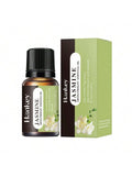 Olio Essenziale Di Aromaterapia Da 10 Ml Olio Essenziale Di Piante Per Umidificatore Diffusore